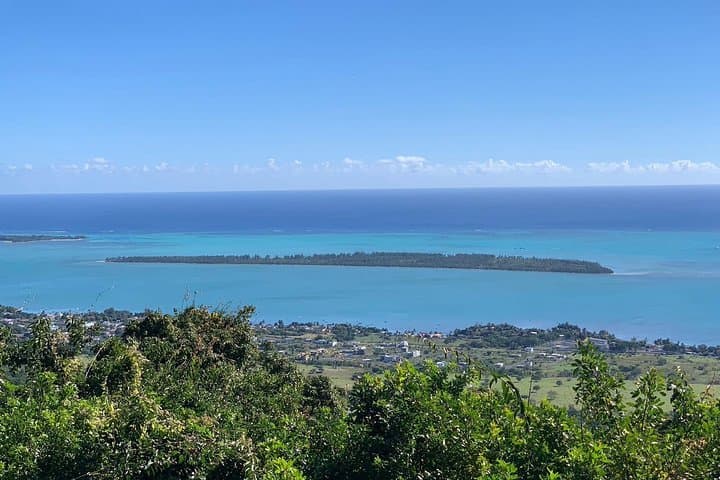 Mauritius Dolphin Watching Cruise: Swim with Dolphins & Snorkel Crystal Rock photo 4