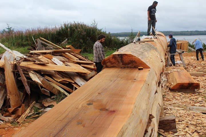 Haida Gwaii 7-Day Small-Group for Seniors: Rainforests, Totems & Coastal Walks