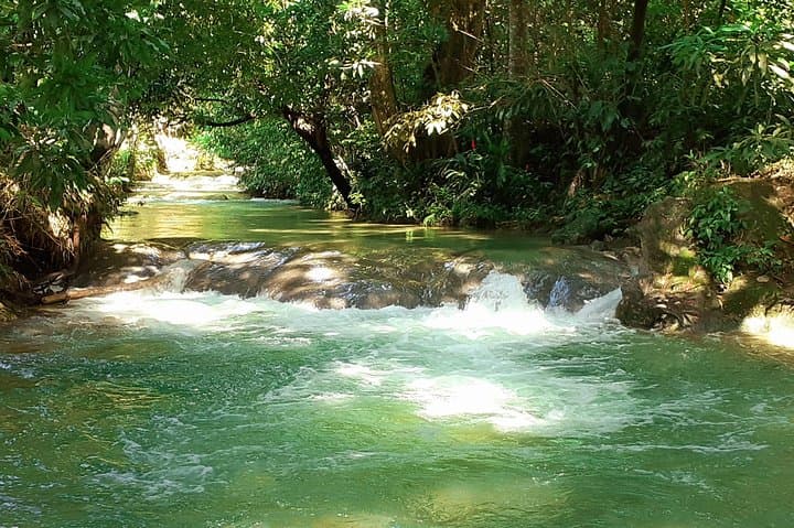 Mayfield Falls Nature Walk: Swim, Climb and Explore Westmoreland’s Cool Mountain Pools photo 3