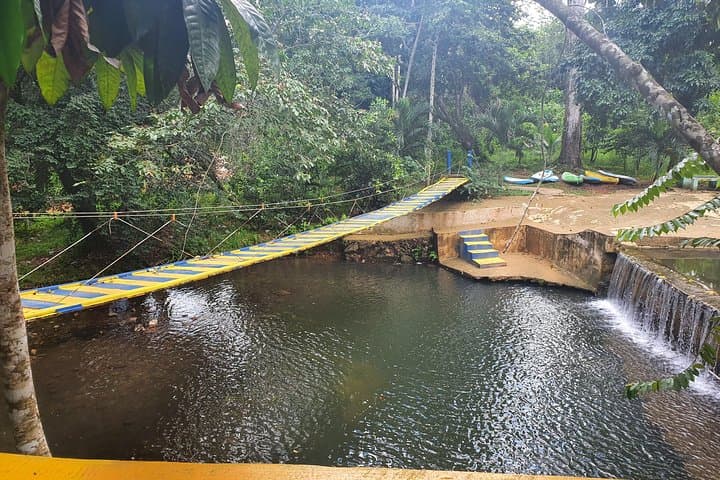 Discover Punta Cana: Safari Adventure & Cultural Dive photo 3