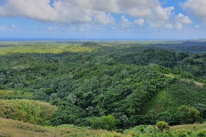 Discover Punta Cana: Safari Adventure & Cultural Dive photo 5