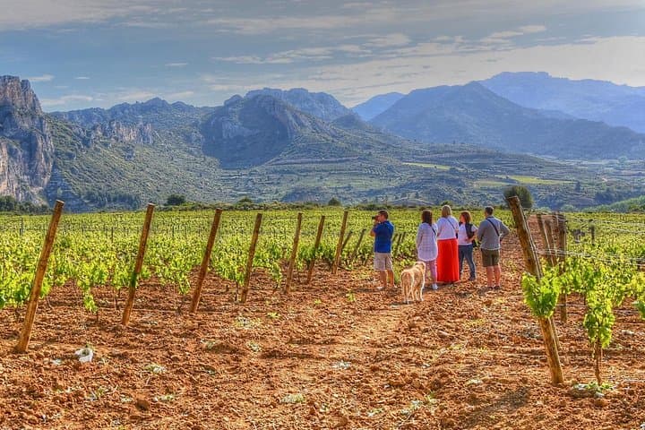 Taste Rioja Like a Local: Full-Day Wine Tour in Rioja Alta & Alavesa