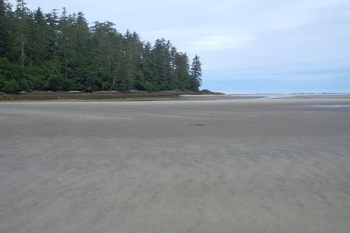Haida Gwaii 7-Day Small-Group for Seniors: Rainforests, Totems & Coastal Walks photo 3