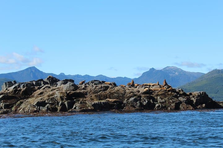 Haida Gwaii 7-Day Small-Group for Seniors: Rainforests, Totems & Coastal Walks photo 6