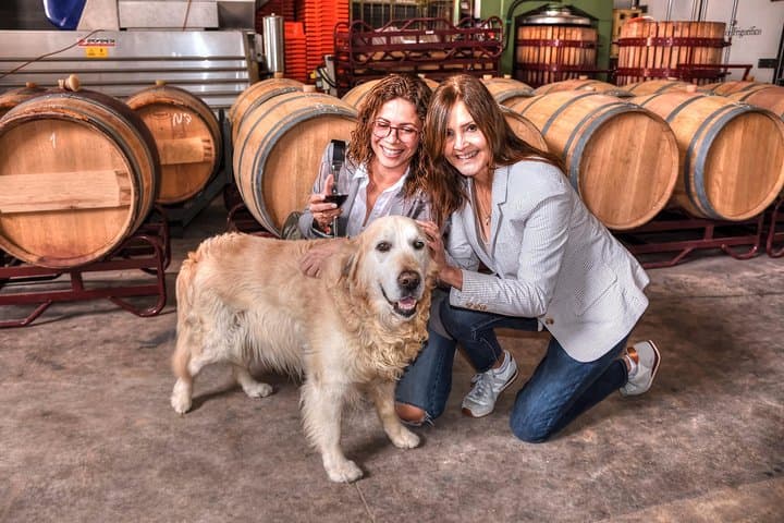 Half-Day Rioja Wine Tour: Taste Rioja Alta & Rioja Alavesa photo 2
