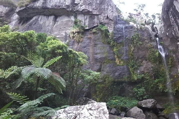 Koroyanitu Half-Day Waterfall Hike from Nadi — Private Village & Lovo Lunch photo 3