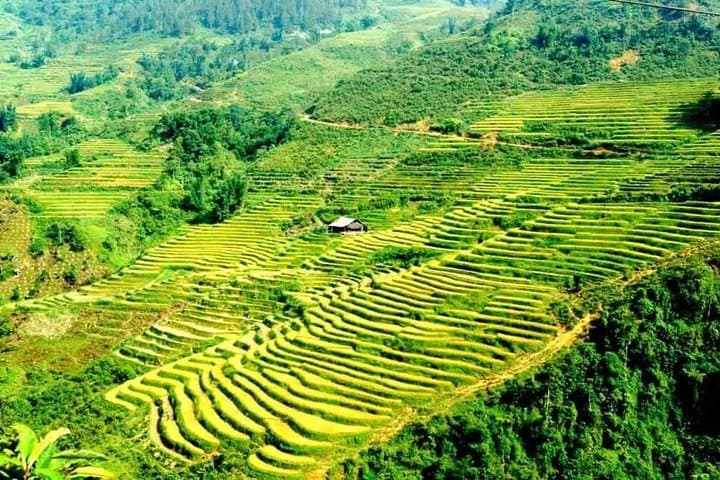 Sapa 3-Day Trek: Homestay & Rice Terrace Hikes from Hanoi photo 3