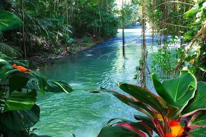 Martha Brae Bamboo Rafting Adventure from Montego Bay photo 6
