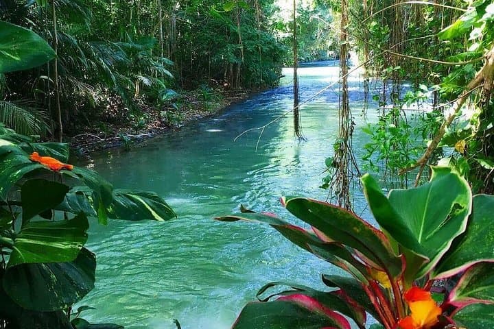 Martha Brae Bamboo Rafting: Gentle Three-Mile River Journey from Montego Bay photo 4