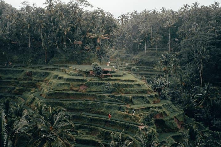Ubud to Tanah Lot: Full-Day Cultural Tour with Monkey Forest & Sunset photo 3