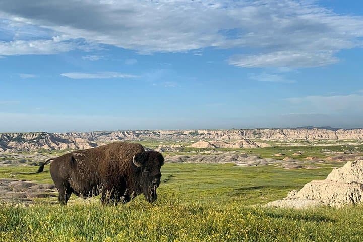 Private Badlands Day Tour from Rapid City — Badlands National Park & Minuteman Site photo 2