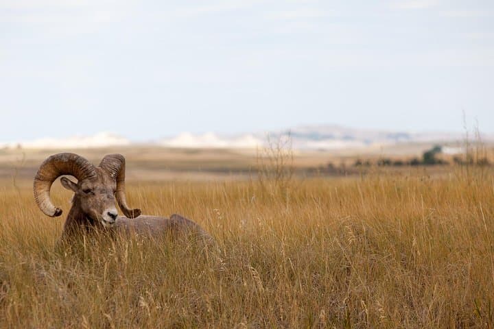 Private Badlands Day Tour from Rapid City — Badlands National Park & Minuteman Site photo 1