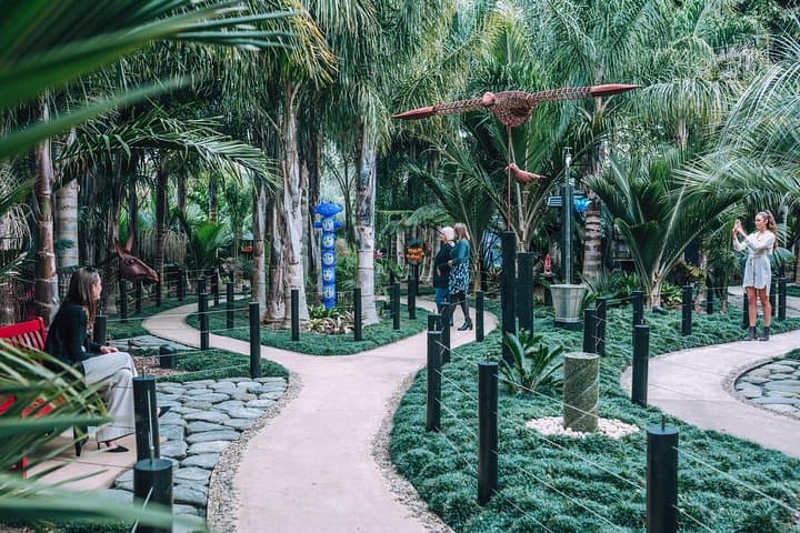 Matakana Art & Wine Village Private Tour: Sculptureum, Markets & Tastings photo 6