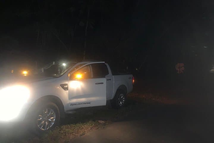 Night Jungle Hike Near Panama City — Private 4-Hour Biologist-Led Tour photo 3