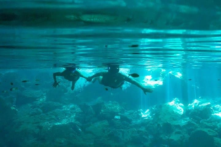 Cenotes & Yalkú Lagoon Snorkel: Cancun's Underground Reefs and Caverns photo 4