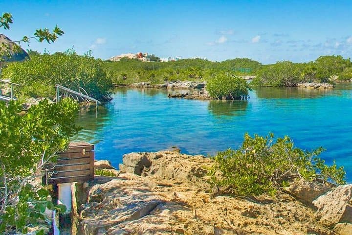 Cenotes & Yalkú Lagoon Snorkel: Cancun's Underground Reefs and Caverns photo 5