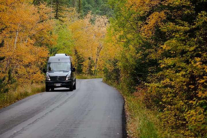 Ultimate Black Hills Day Tour: Mount Rushmore, Crazy Horse and Custer State Park photo 4