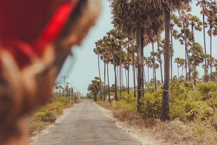 Masterpieces of Heritage Sri Lanka: 8-Day Cultural Tour from Colombo to Jaffna photo 2