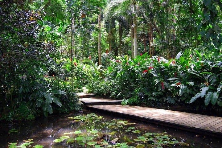 Nadi Sightseeing: Viseisei Village, Anchorage Lookout, Garden of the Sleeping Giant & Sri Siva Subramaniya Temple photo 3