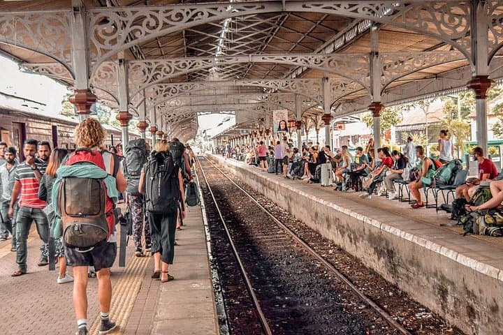 Discover Serendib by Rail: 8-Day Scenic Train, Tea Country & Safari Tour of Sri Lanka photo 2