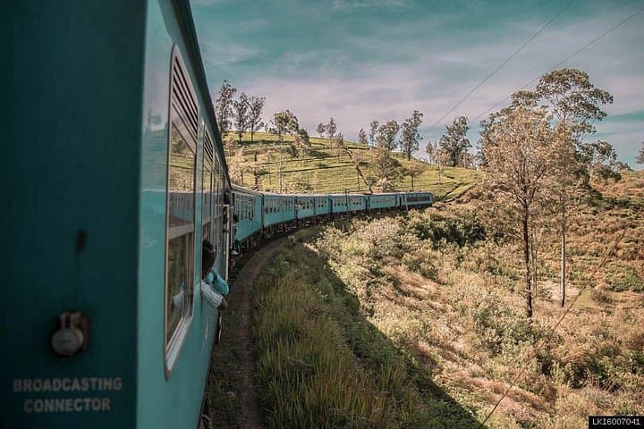 Discover Serendib by Rail: 8-Day Scenic Train, Tea Country & Safari Tour of Sri Lanka photo 4