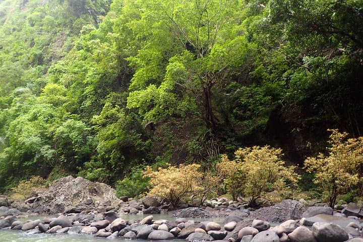 Pagsanjan Falls, Taal Volcano & Tagaytay: Ultimate Day Tour from Manila photo 4