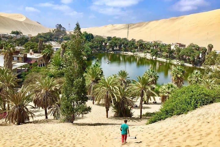 Ica & Huacachina: City, Winery, Buggy Dunes and Sandboarding Tour