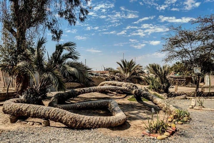 Ica & Huacachina: City, Winery, Buggy Dunes and Sandboarding Tour photo 5