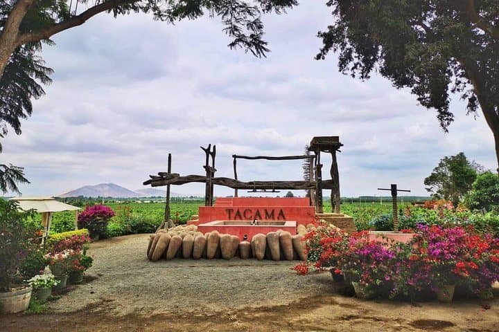 Ica Wine, Pisco & Huacachina Dune Buggy Adventure photo 2