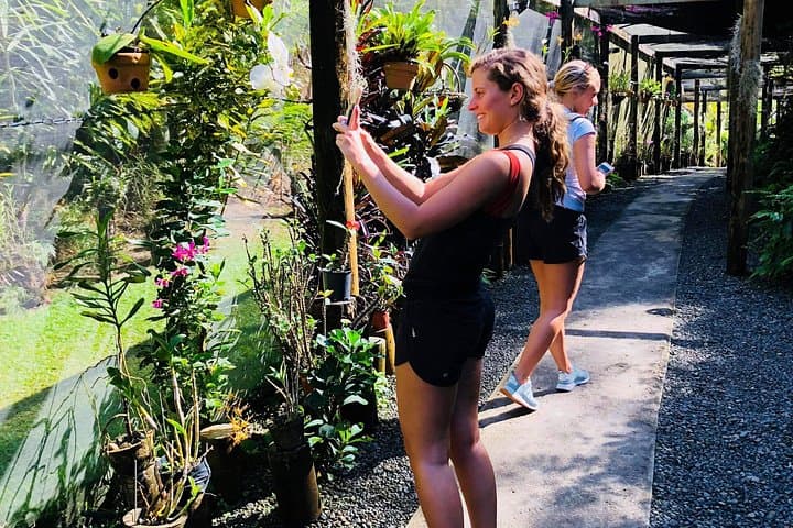 Nadi Sightseeing and Sabeto Mud Pools: Temple, Market & Garden Day Tour photo 3