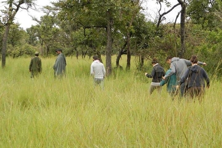 3-Day Murchison Falls Adventure Safari: Nile Boat Cruise, Game Drives & Chimp Trek photo 3