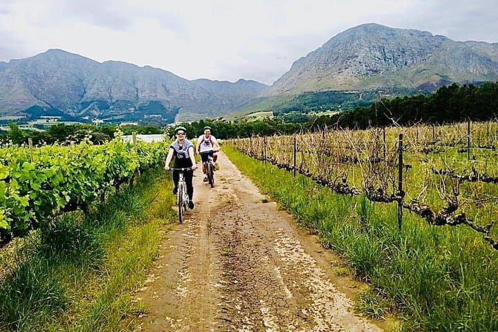 Constantia Hidden Gem Cycle: Full-Day Private Wine & Bike Tour photo 5