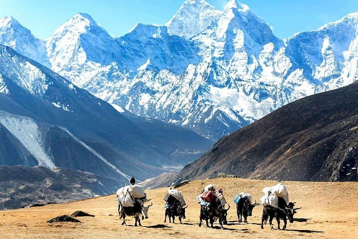 Everest Base Camp Private Heli Tour from Kathmandu — One-Day Helicopter to Everest & Kala Patthar photo 4