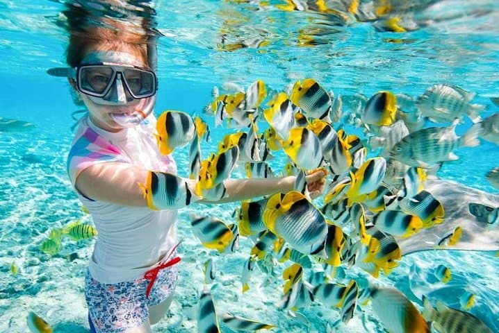Full-Day Snorkeling at Paradise Island (Giftun) — From Hurghada photo 2