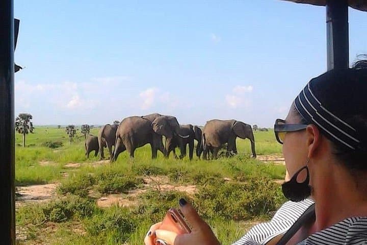 7-Day Uganda Safari: Murchison Falls to Queen Elizabeth — Midrange Lodge Adventure photo 2