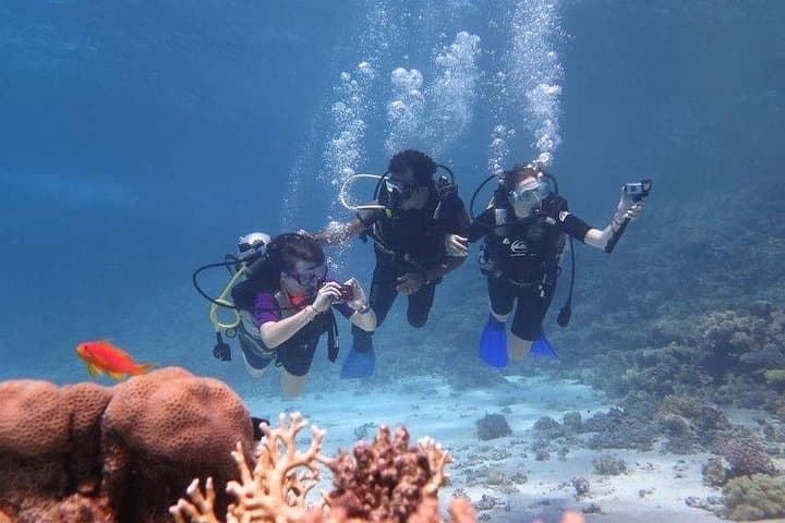 Full-Day Snorkeling at Paradise Island (Giftun) — From Hurghada photo 4