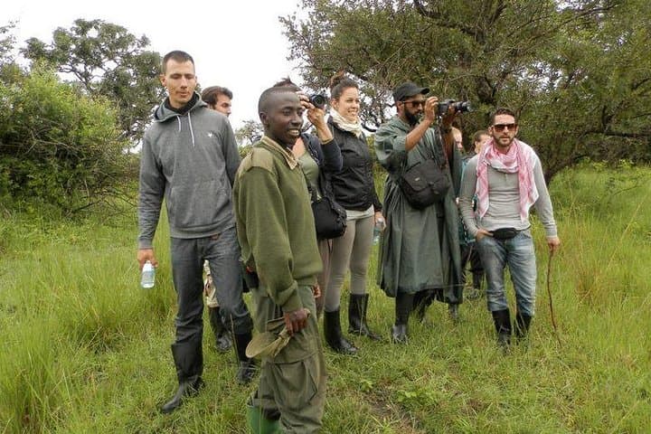 7-Day Uganda Safari: Murchison Falls to Queen Elizabeth — Midrange Lodge Adventure photo 5