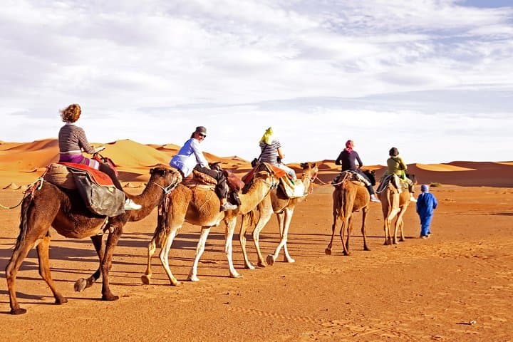 Evening Desert Safari in Abu Dhabi: Dune Bashing, Camel Ride & BBQ Experience photo 2