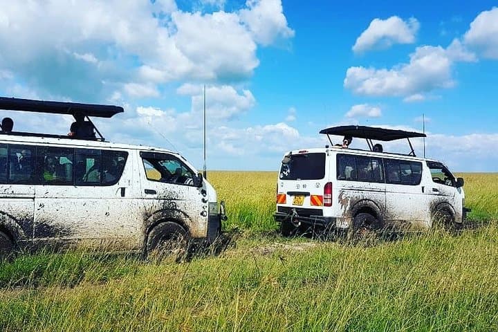 Maasai Mara Safari: 3-Day Game Drives & Maasai Culture photo 1