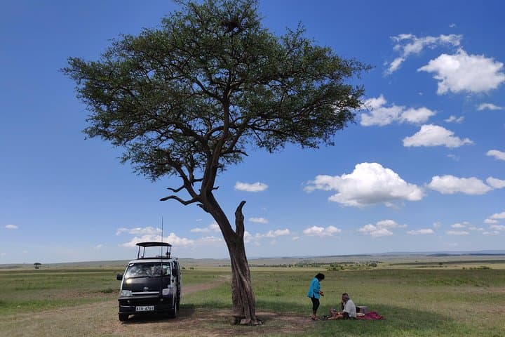 Maasai Mara Safari: 3-Day Game Drives & Maasai Culture photo 4