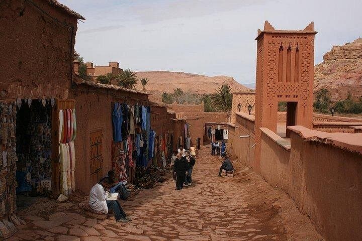 Souss-Massa Private Day Trip: Coastal Wildlife, Birding and Traditional Lunch photo 2