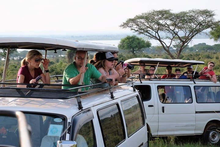 10-Day Best of Uganda Adventure Safari: Gorillas, Game Drives & Kazinga Boat Cruise