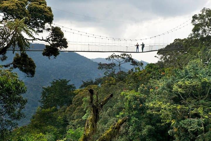 14-Day Uganda & Rwanda Primate Safari — Gorilla & Chimp Trekking with Murchison Falls photo 5