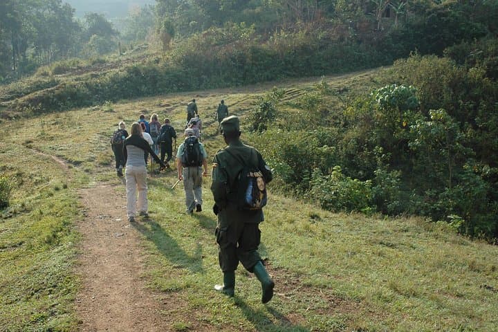 14-Day Uganda & Rwanda Primate Safari — Gorilla & Chimp Trekking with Murchison Falls