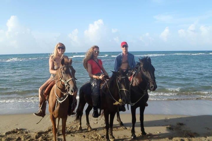 Beach Horseback Riding in Puerto Plata — Bergantín Coast Ride & Swim photo 2