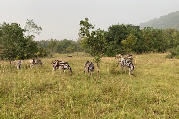 Day Trip to Shai Hills & Akosombo: Wildlife, Caves and Volta Lake Boat Ride