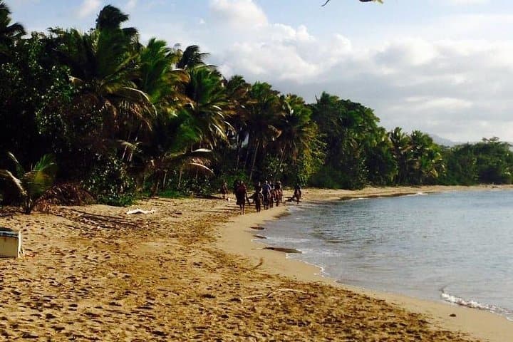 Beach Horseback Riding in Puerto Plata — Bergantín Coast Ride & Swim photo 3