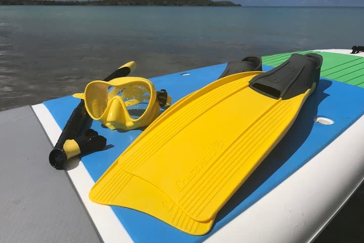 Fajardo Guided Snorkeling Lesson for Families and Beginners photo 4