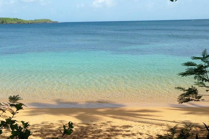 Fajardo Guided Snorkeling Lesson for Families and Beginners photo 3