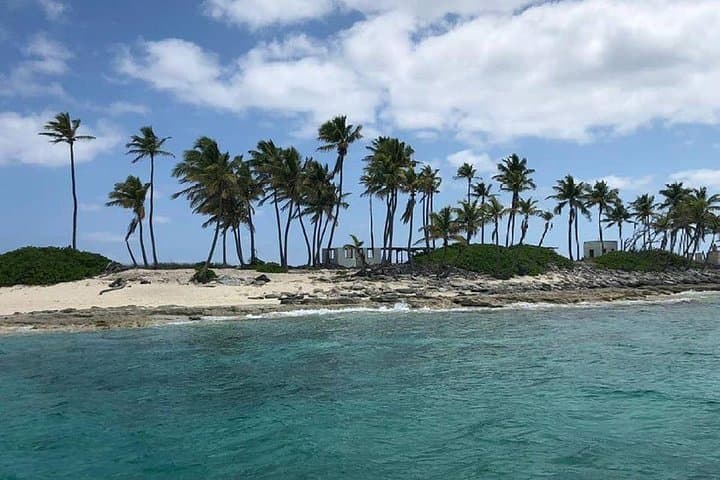Private Rose Island Snorkel Charter — Turtles, Reefs & Sandy Beaches photo 6